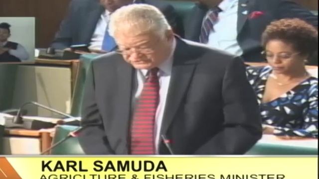 2 Female Teens Detained On Port Henderson Road - TVJ Midday News - July 26 2017 смотреть онлайн