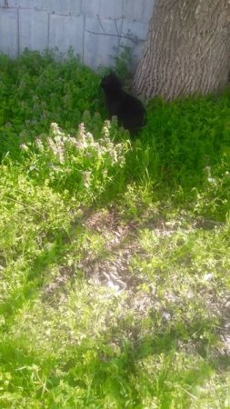 VID_20250410_100634