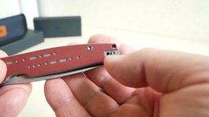 Petrified fish PFE07 MORSE, 154CM, G10