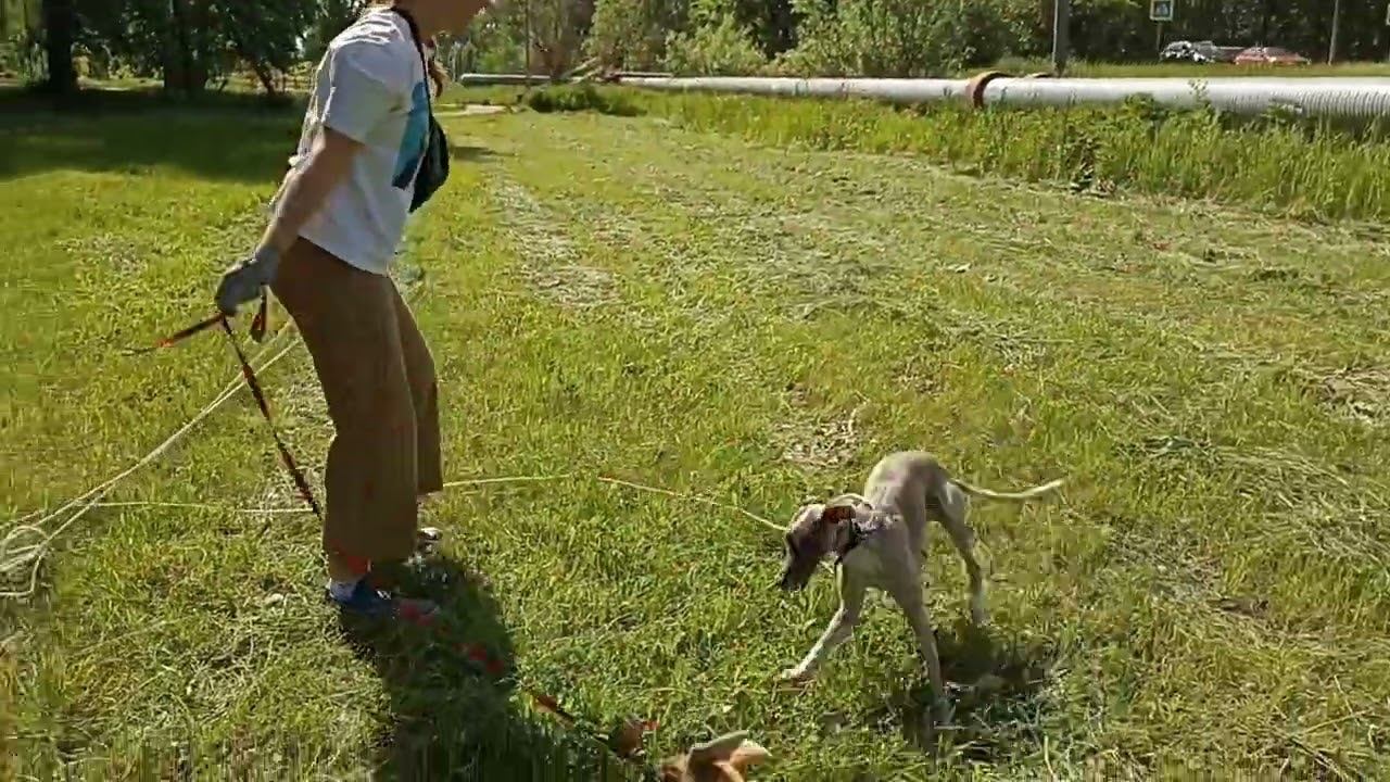 233. Занятие в группе.