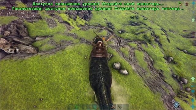 Гигантозавр в Арк Приручение Гигантозавра в Ark ARK Survival Evolved