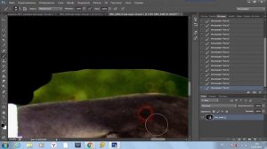 Обработка лошади "черный фон"