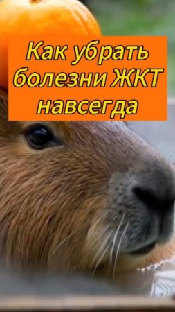 Как убрать самостоятельно болезни ЖКТ навсегда