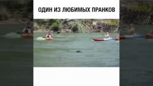 ПРАНК С КРОКОДИЛОМ