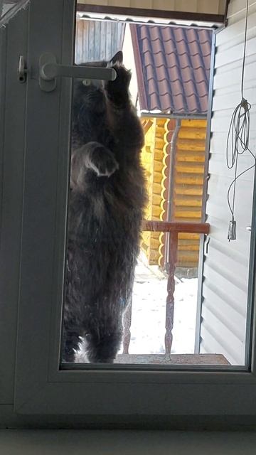 стук в окно смотреть онлайн