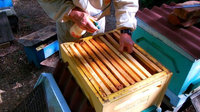 Пчел.сезон закончился смотреть онлайн