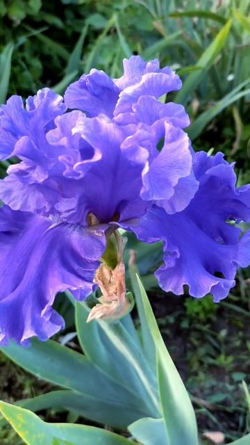 SEA POWER K.Keppel 1999 смотреть онлайн