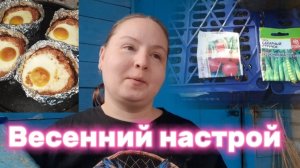 Весеннее настроение / сельские будни #vlog