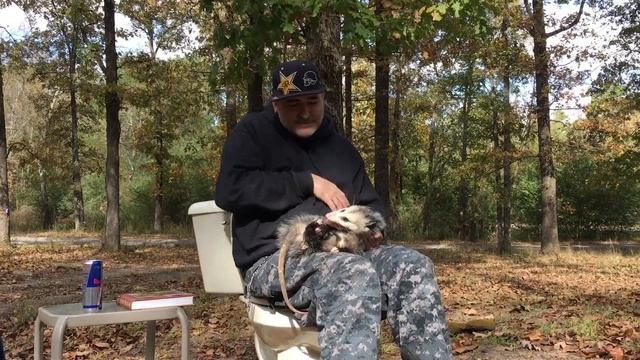 Possums playing dead - Hillbilly Animal Kingdom смотреть онлайн