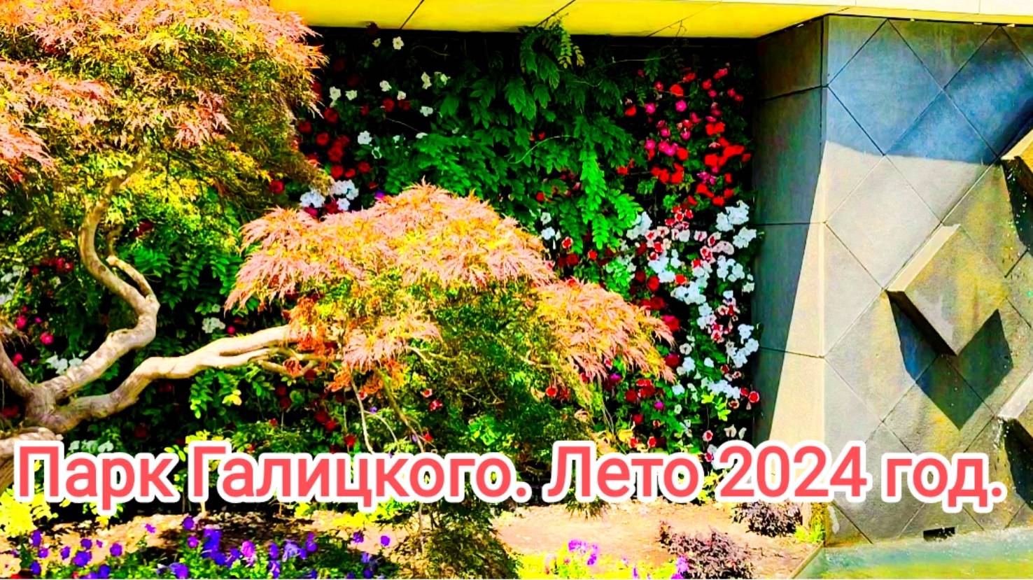 Парк Галицкого летом.