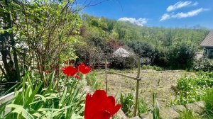 Продам участок в Сочи❗️