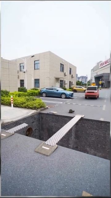 ZEBRA CROSSING смотреть онлайн