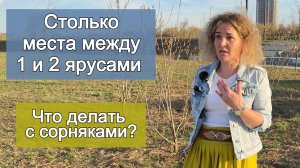 Как сажать кустарники под деревьями, чтобы полоть меньше и кустарник хорошо рос. Пошаговые дорожки
