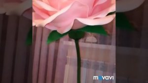 Ростовые цветы из изолона.