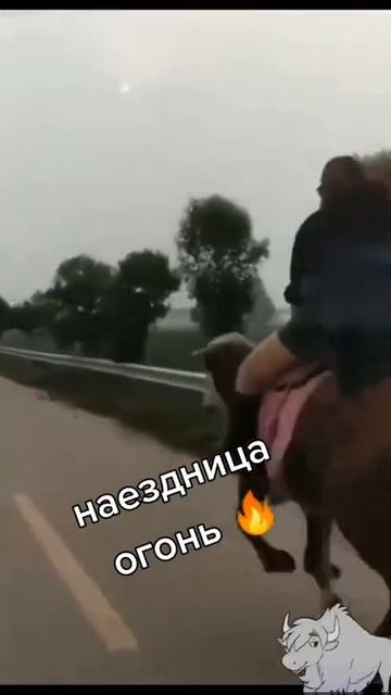 Наездница огонь