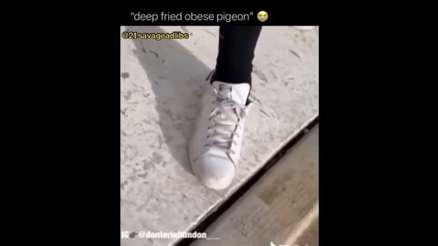 DEEP FRIED OBESE PIGEON