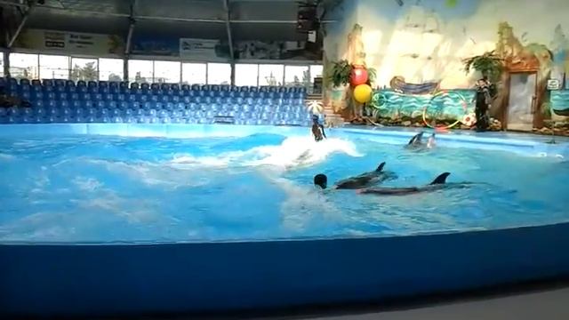 Дельфинарий 2# серия смотреть онлайн