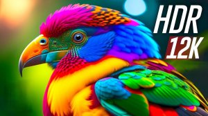 Утро без спешки — нежная музыка для начала дня»