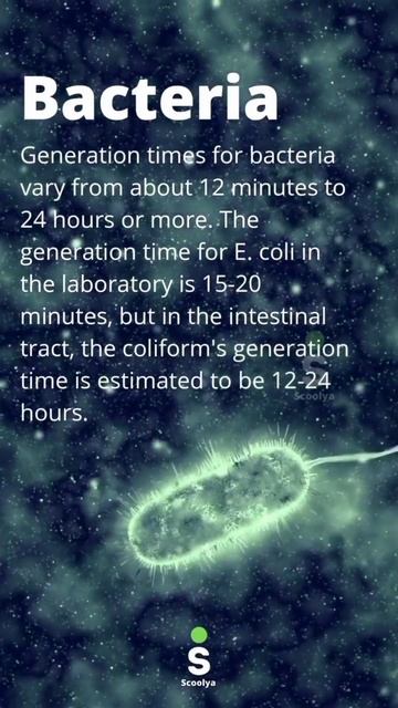 Know about Bacteria |Biology | NEET| #bacteria #shorts