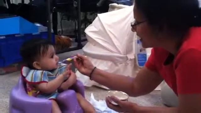 Tara's first solid food смотреть онлайн