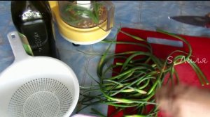 Чесночные стрелки. Соус песто по-сибирски.
#чесночные#стрелки#соус