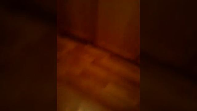 ЭкСпЕрЕмЕнТ  " тюрьма или свобода" ( загляните в описание) смотреть онлайн