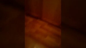 ЭкСпЕрЕмЕнТ  " тюрьма или свобода" ( загляните в описание)