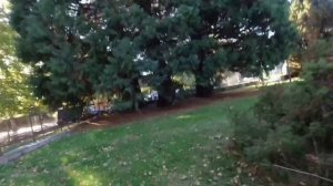 WHEN YOUR PHONE IS AT 1% BATTERY (Parkour POV)