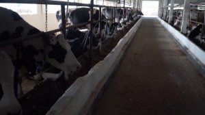 Что случилось с солнечной станцией за 5 лет? Окупаемость!!!