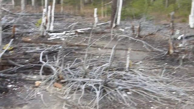 DSCN2936 смотреть онлайн