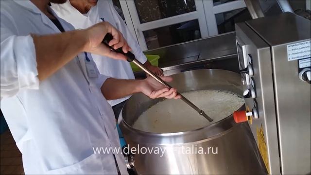 Курсы сыроделия и производство итальянских и французских сыров