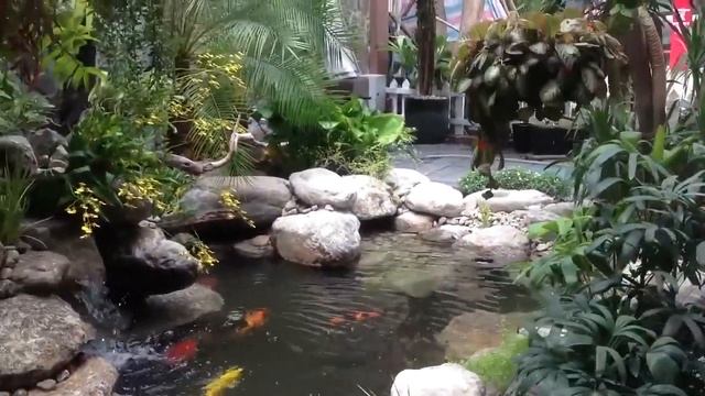 Hồ Cá Koi Đẹp P1 - Beautiful koi aquarium part 1 смотреть онлайн