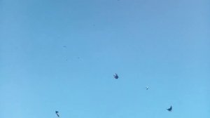 Доброго вечера мы з Украины 🇺🇦🇺🇦🇺🇦🇺🇦🇺🇦