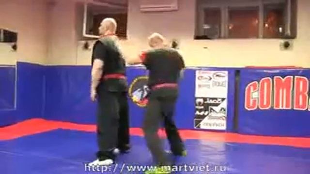 Вьетнамские Боевые искусства смотреть онлайн