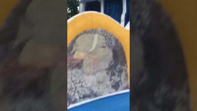 Хаджимурад на озере в Пятигорске