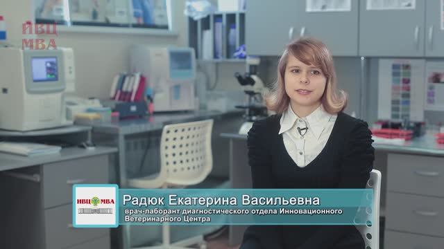 Ветеринарная лаборатория.  Ветеринарная лаборатория в ИВЦ МВА.