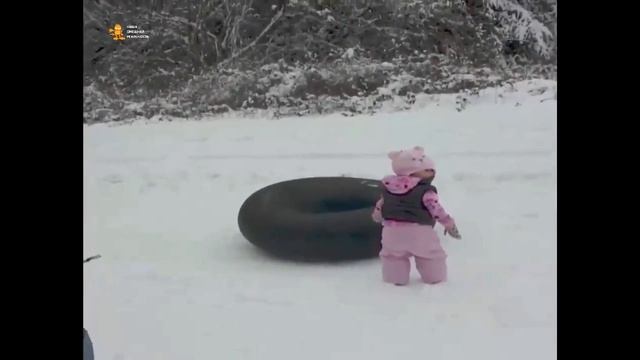 ► Ребёнок и лунная походка в исполнении собаки 😂 смотреть онлайн