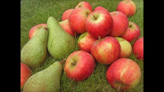Лист как паспорт создателя [МЫсли вслУХ]