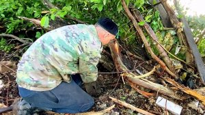 Всегда проверяю корни деревьев металлоискателем и почти всегда, там есть находки.