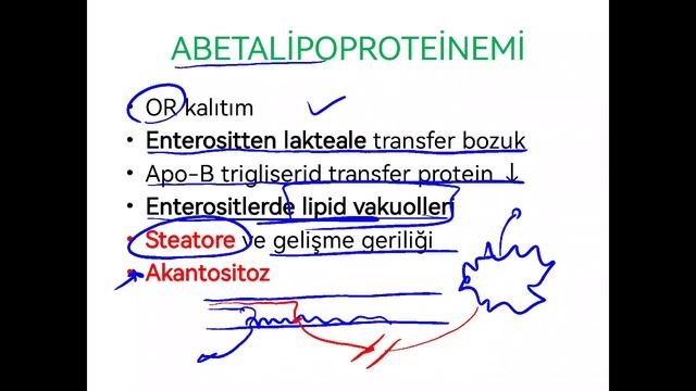 PATOLOJİ SORU ÇÖZÜMÜ 1 смотреть онлайн