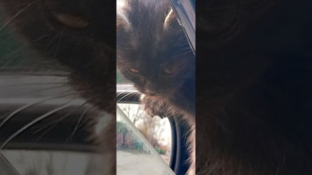 Релакс. Шум воды смотреть онлайн