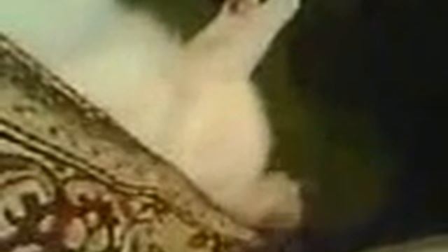 ЛЮТИК смотреть онлайн