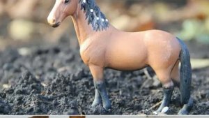 лошади шляйх и коллекта