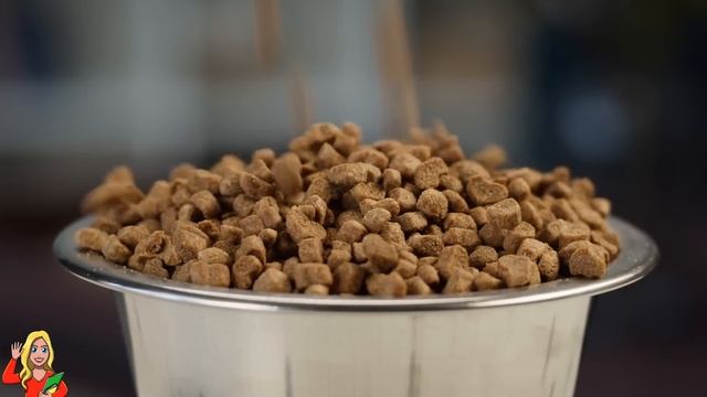 Uomo Salva Un Cucciolo Di Cane Abbandonato, Poi Scopre Che NON È Veramente Un Cane! смотреть онлайн