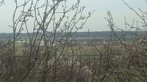 крыша домика