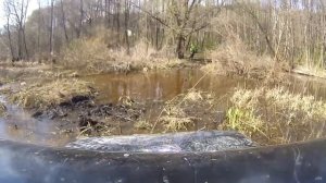 RUNVA EWB9500Q SR в работе