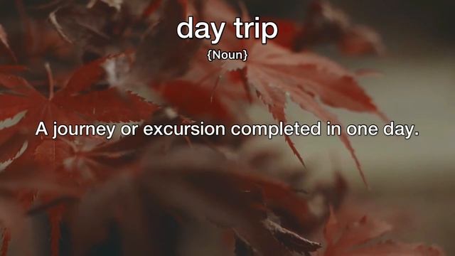 Day Trip Meaning | Definition of Day Trip смотреть онлайн