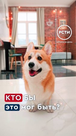 Эпизод 14. Сосед