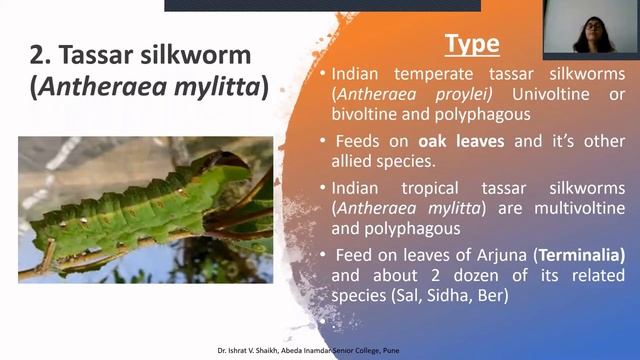 Introduction to Sericulture and Varieties of Silkmoth