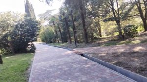 Массандровский парк. Удивительная полянка.